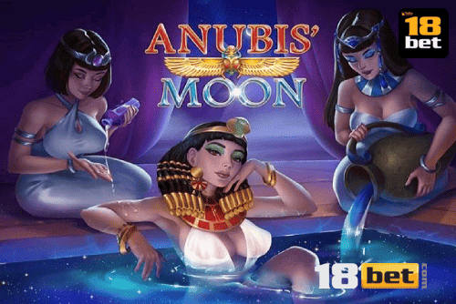 Multi-Sport Coverage